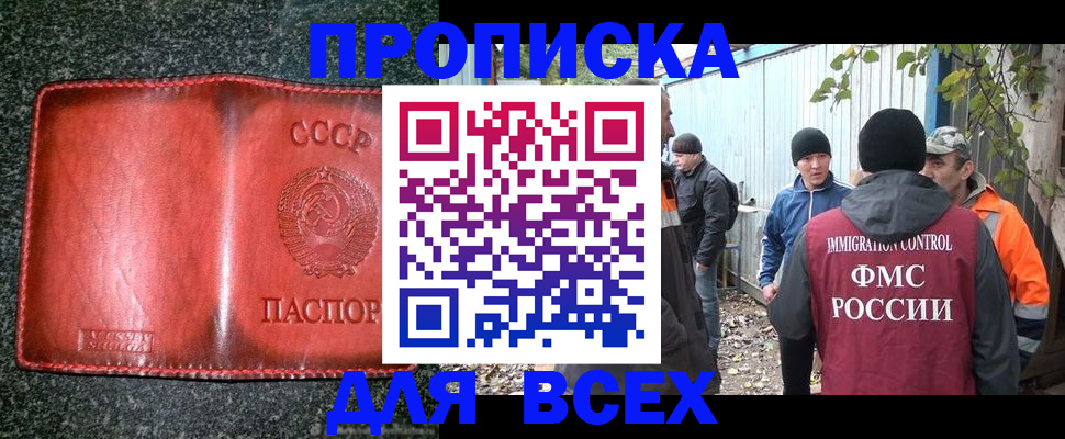 временная регистрация поиск в Лосино-Петровском